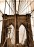 Brooklyn Bridge Ropes Photo Magnet